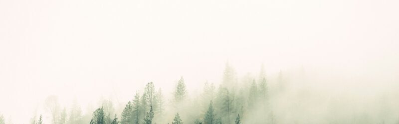 GEO et visibilité : l’autorité sans exposition